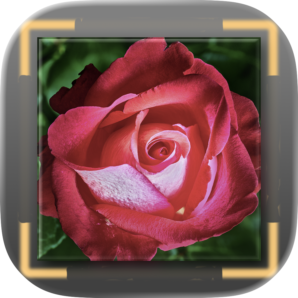 PinARt app icon